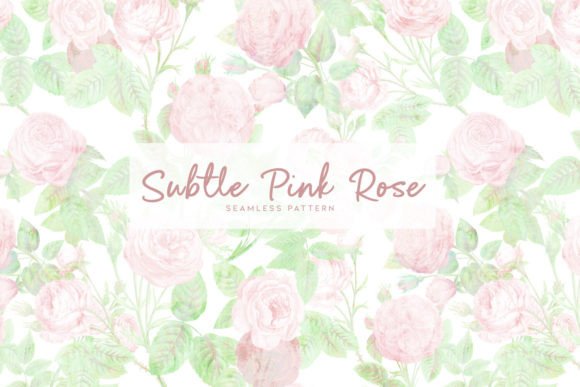 Download Subtle Pink Rose - Premium Resources